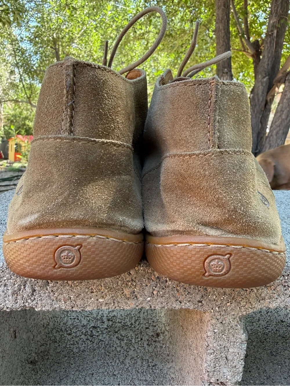 Born Men's Asten suede chukka boots in a desert sand or taupe color
